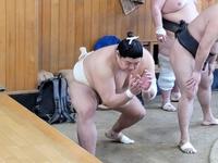 　基礎運動で汗を流す新関脇阿炎（日本相撲協会提供）