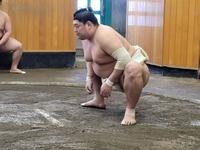 　春場所に向けて調整する新関脇阿炎（日本相撲協会提供）