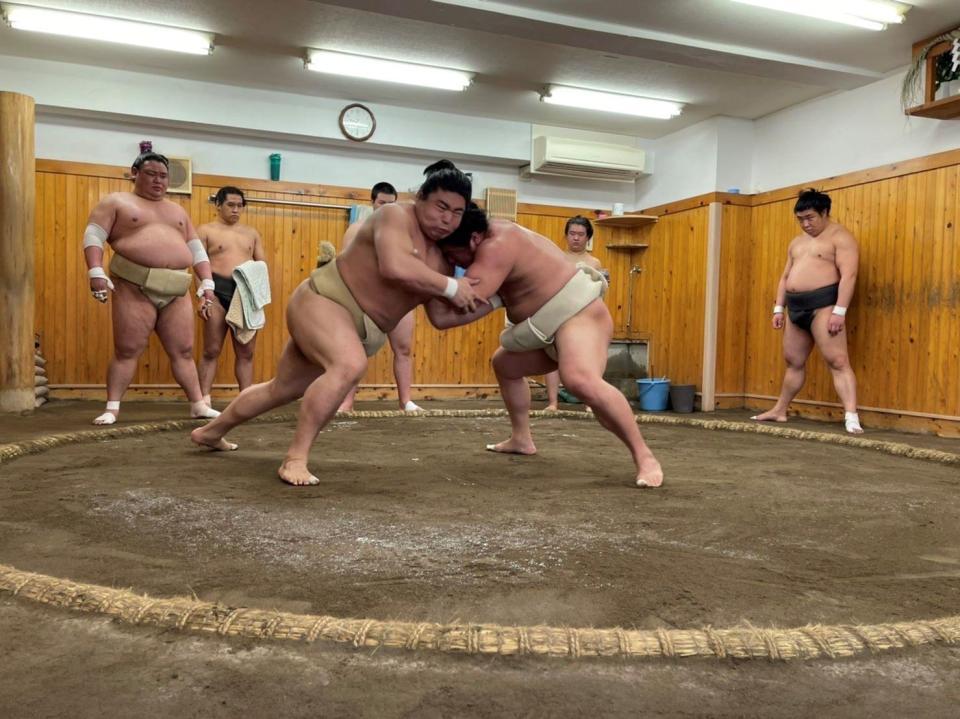 　若隆景（右）と稽古する若元春（日本相撲協会提供）