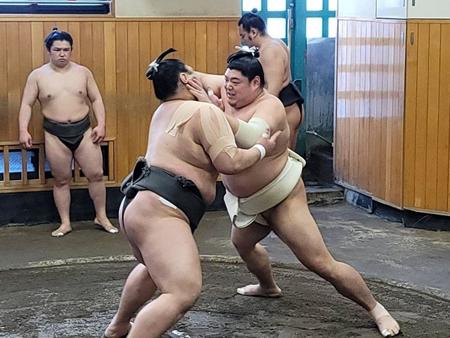 　精力的に稽古をこなす阿炎（日本相撲協会提供）
