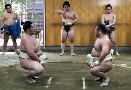 　琴恵光（右）と稽古する琴ノ若（日本相撲協会提供）