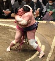 照ノ富士（右）を押し出しで破った大栄翔（撮影・棚橋慶太）