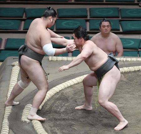 禎ノ花（左）を押し出す琴手計＝両国国技館（撮影・佐々木彰尚）