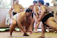 立ち合いを確認する御嶽海（代表撮影）