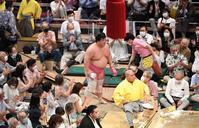 　照ノ富士を破り堂々と引き揚げる宇良（撮影・金田祐二）