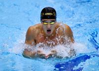 　優勝した瀬戸大也の平泳ぎ