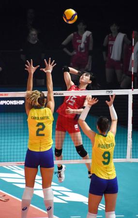 　スパイクを放つ林（共同）