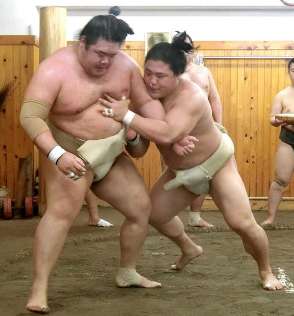 若隆景 出稽古で13勝2敗と圧倒 2桁勝つ意識「以前より強い」