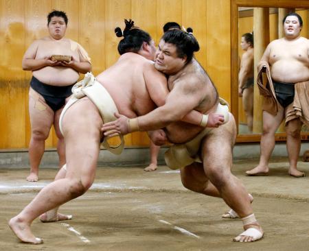 高安が出稽古、琴ノ若を圧倒悲願の初優勝へ「頑張る」