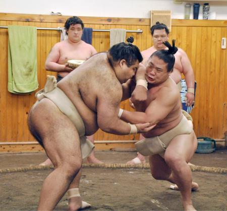 関脇若隆景「2桁を目標に」出稽古の高安と申し合い