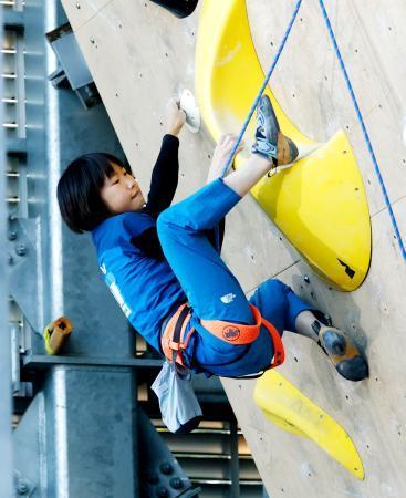 　リードの女子予選で壁を登る森秋彩＝岩手県営運動公園スポーツクライミング競技場