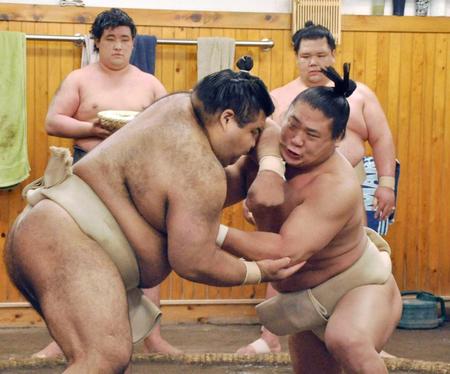 　荒汐部屋に出稽古に来た高安（左）と相撲を取る若隆景