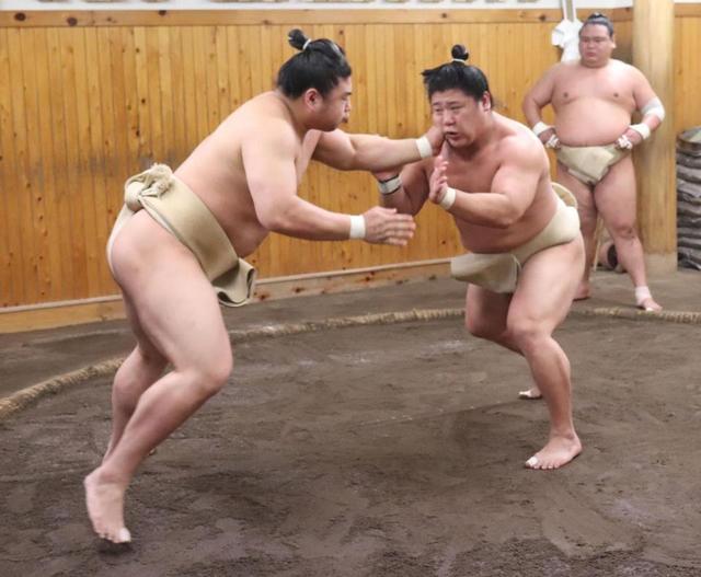 若隆景が順調　申し合い１４勝１敗　兄・若元春も「やっぱり格が違う」舌巻く強さ