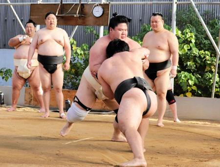 　申し合い稽古で須山と対戦する宇良（左から３人目）