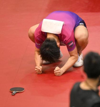 　フルセットの末に決勝進出を決め、床をたたいて喜ぶ張本智和（撮影・伊藤笙子）