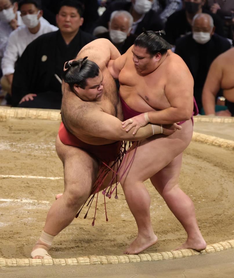 相撲 グラス (白鵬・稀勢の里) - 食器