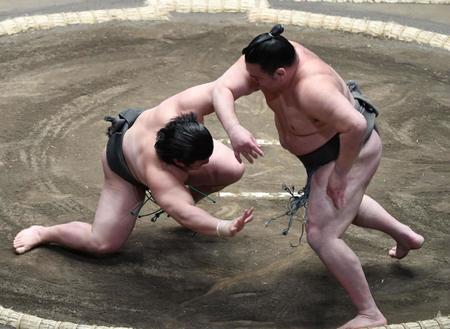 　千代の海（右）に突き落としで敗れた川副（撮影・佐藤厚）