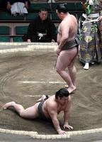 　千代の海（右）に突き落としで敗れた川副（撮影・佐藤厚）