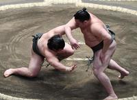 　千代の海（右）に突き落としで敗れた川副（撮影・佐藤厚）
