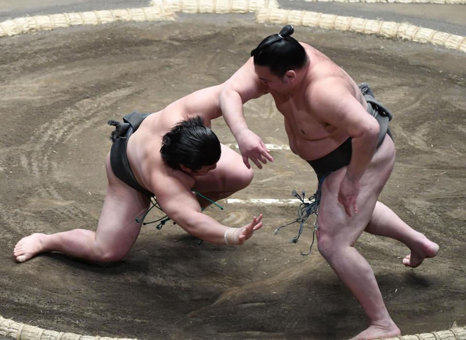 　千代の海（右）に突き落としで敗れた川副（撮影・佐藤厚）
