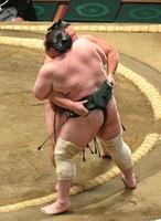 　寄り切りで白鷹山を下した朝乃山（奥）＝撮影・三好信也