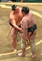 　寄り切りで白鷹山を下した朝乃山（左）＝撮影・三好信也