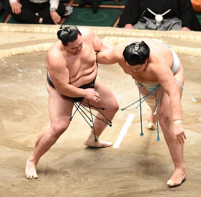 十両Ｖの朝乃山１４勝目で幕内返り咲き有力に　三役に「もう一回戻りたい」