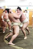 　若隆景（左）を攻める霧馬山