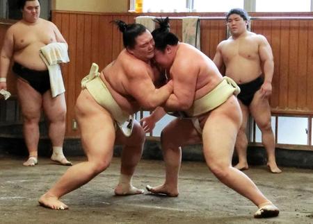 　欧勝馬（右）と申し合いをする朝乃山