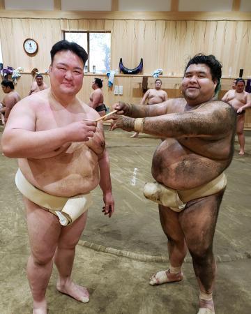 高安が出稽古、動きに好感触