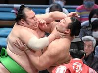 　千代丸（左）と攻め合う朝乃山。突き出しで下す