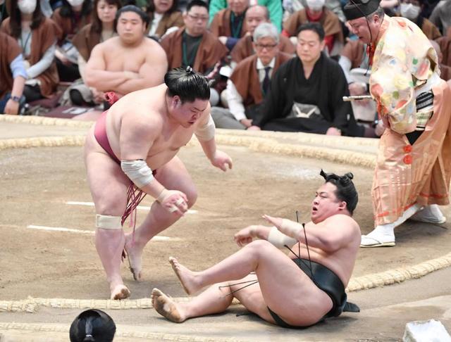 大栄翔が２度目Ｖに王手！２敗維持で千秋楽へ　３敗に霧馬山　優勝争いは２力士に