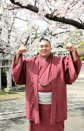 　初優勝から一夜明け、桜の下でガッツポーズする霧馬山