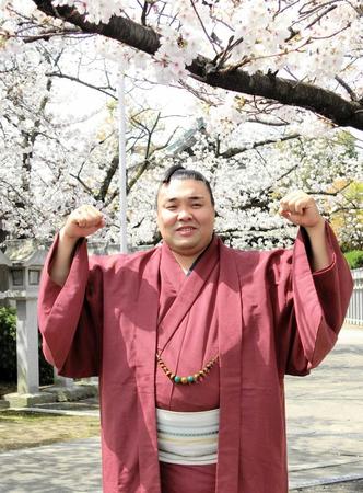 　初優勝から一夜明け、桜の下でガッツポーズする霧馬山