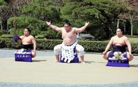 　伊勢神宮で土俵入りを奉納する横綱照ノ富士（中央、左は太刀持ちの翠富士、右は露払いの錦富士）