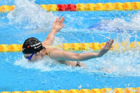 　予選をトップで通過した池江璃花子（撮影・佐々木彰尚）