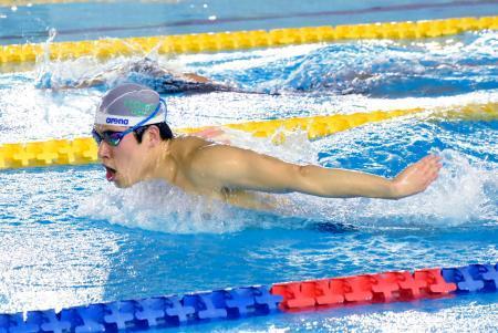 　練習を公開した競泳男子の本多灯＝東京都多摩市