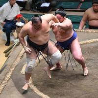 　藤青雲に押し出しで敗れる千代の国＝２２日