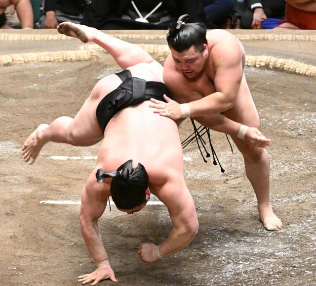 【写真】うねるタコ　若元春から郷土愛