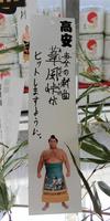 　名古屋場所の会場に飾られる高安の短冊