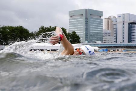 OWS蝦名28位、加藤33位 世界水泳第2日