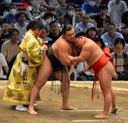 　霧島のまわしを直す式守伊之助（撮影・和田康志）