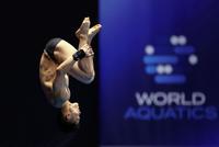 　男子高飛び込み準決勝の玉井陸斗の演技