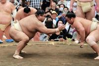 　申し合いをする高安（左）