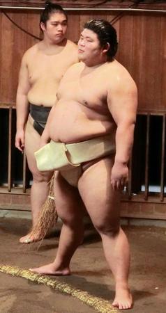 　他の力士の稽古を見つめる伯桜鵬