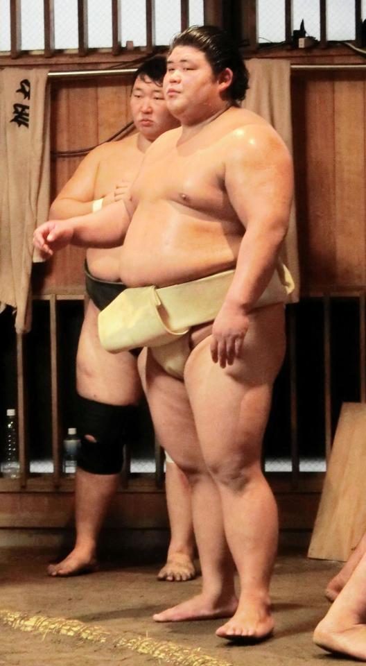 　他の力士の稽古を見つめる伯桜鵬
