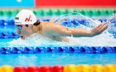 　男子２００メートルバタフライ決勝を１分５３秒７６の大会新で制した本多灯。４連覇を果たした＝東京アクアティクスセンター