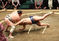 　豊昇龍（右）をはたき込みで破る北勝富士（撮影・佐々木彰尚）