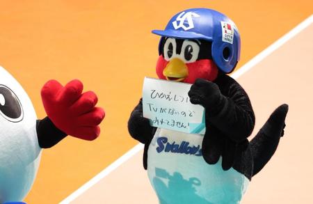 　バレーボール女子日本代表を応援に来たつば九郎（撮影・吉澤敬太）