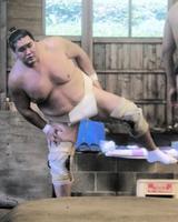 　四股を踏む照ノ富士